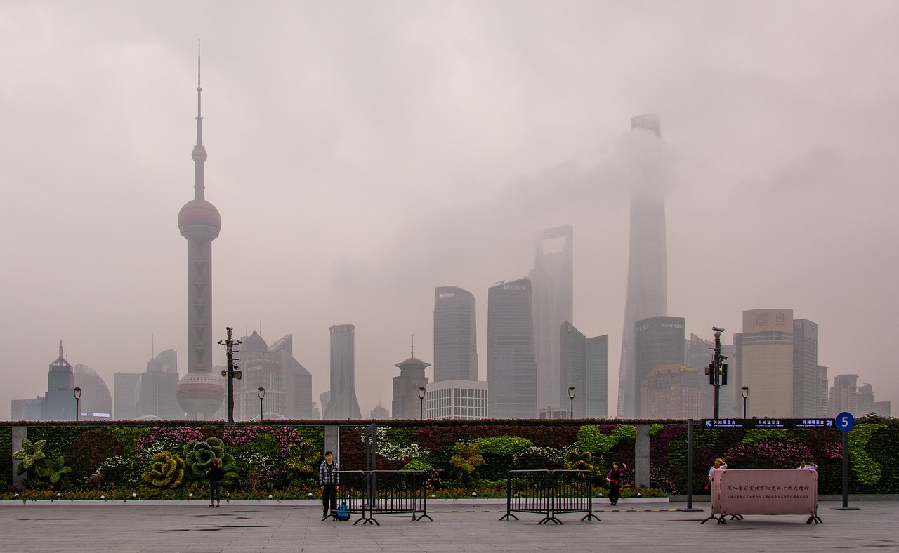 上海宠物百货批发市场，繁荣的宠物产业中心